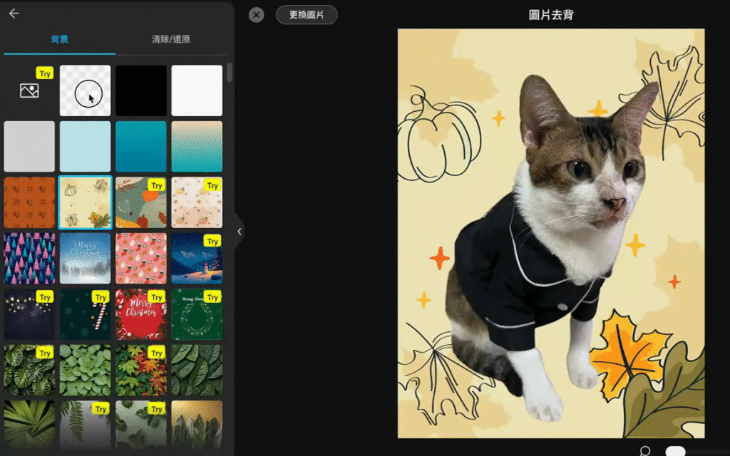 設計衣服超簡單！2024 免費易用的5款去背工具推薦-MyEdit