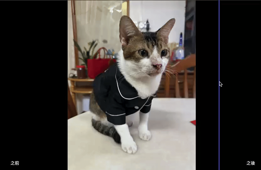 設計衣服超簡單！2024 免費易用的5款去背工具推薦-PhotoRoom